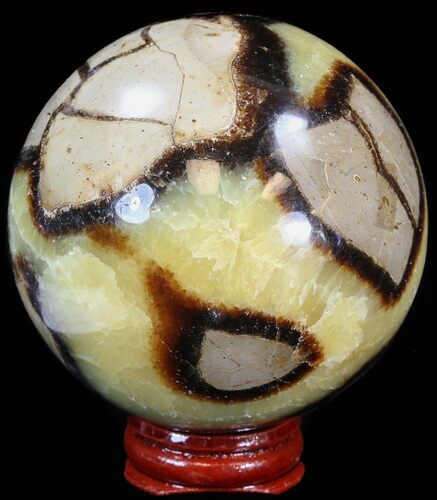 Polished Septarian Sphere - With Stand #43850